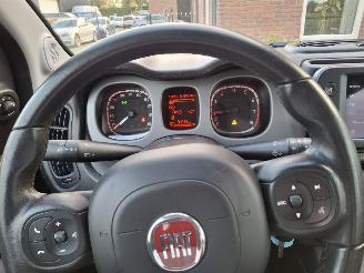 Fiat Panda 1.0 hybrid  cross   52kw picture 9