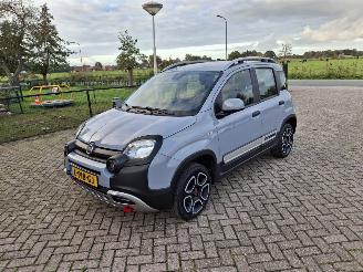 Fiat Panda 1.0 hybrid  cross   52kw picture 5