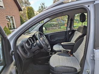 Fiat Panda 1.0 hybrid  cross   52kw picture 2