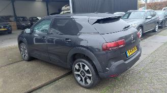 Citroën C4 cactus 1.2i  shine pano   navi picture 4