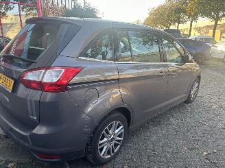 Ford Grand C-Max Titanium MOTOR schade picture 6