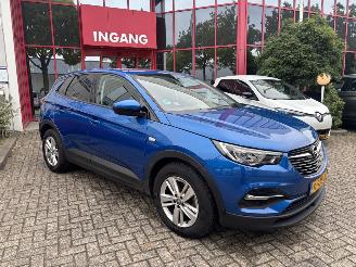 Opel Grandland X1.2T Bus.Ed. GEEN SCHADE PROBLEEM TURBO picture 8