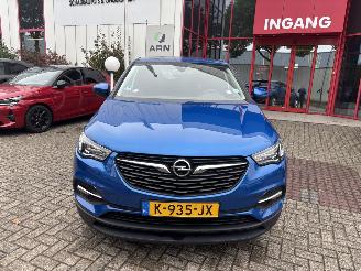  Opel Grandland X1.2T Bus.Ed. GEEN SCHADE PROBLEEM TURBO 2021/1