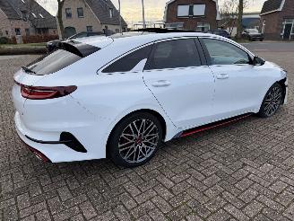 Kia Pro cee d 1.6 T-GDi  150 Kw GT-Line automaat picture 12