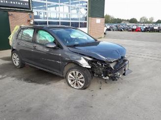 Volkswagen Golf Golf VII (AUA), Hatchback, 2012 / 2021 1.0 TSI 12V BlueMotion picture 14