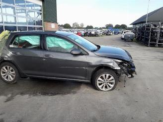 Volkswagen Golf Golf VII (AUA), Hatchback, 2012 / 2021 1.0 TSI 12V BlueMotion picture 13