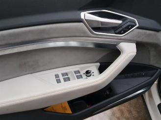 Audi E-tron E-tron (GEN), SUV, 2018 55 quattro picture 7