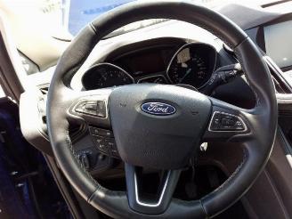 Ford C-Max C-Max (DXA), MPV, 2010 / 2019 1.0 Ti-VCT EcoBoost 12V 125 picture 12