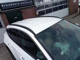 Hyundai Tucson Tucson (NX), SUV, 2020 1.6 T-GDI Hybrid 48V picture 7