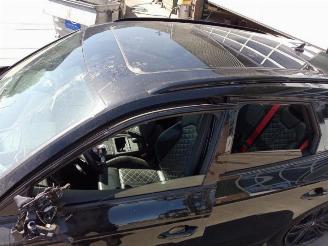 Audi SQ5 SQ5 (FYB/FYG), SUV, 2016 3.0 TFSI V6 24V picture 8