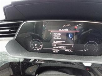 Audi E-tron e-tron (GEN), SUV, 2018 / 2023 55 quattro picture 22