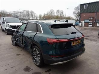 Audi E-tron E-tron (GEN), SUV, 2018 55 quattro picture 5