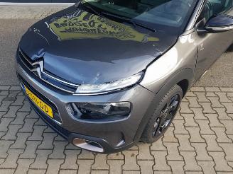 Citroën C4 cactus 1.2 PureTech Origins picture 10