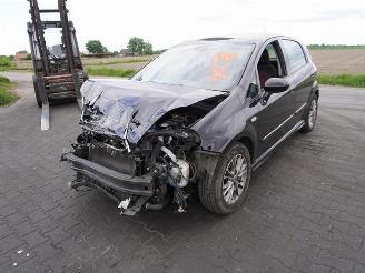 Fiat Punto Evo 1.3 JTD picture 3