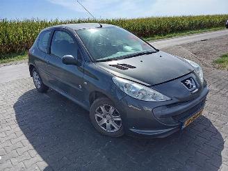 Peugeot 206+ 1.4 picture 4