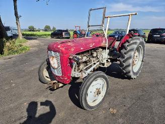 Massey Ferguson  MF35 picture 2
