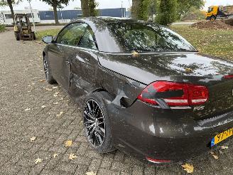 Volkswagen Eos  picture 11