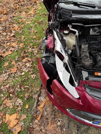 Ford Fiesta  picture 13