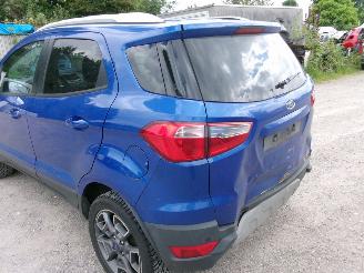 Ford EcoSport 1.0 Titanium picture 13