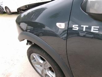 Dacia Sandero 09 Stepway - Rainbow picture 25