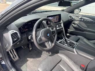 BMW 8-serie M850 390 kW (530 PK) 4.395 cc PANORAMADAK SOFTCLOSE picture 18