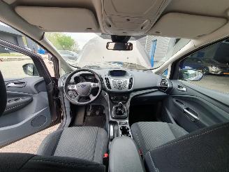 Ford Grand C-Max 1.0 Titanium 7persoons picture 18