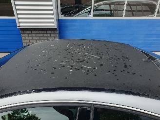 Mercedes C-klasse Automaat COUPE 220 CDI picture 13