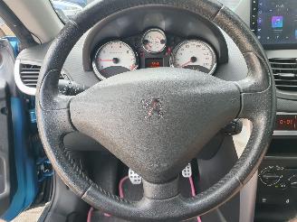 Peugeot 207 1.6 Cabrio picture 17