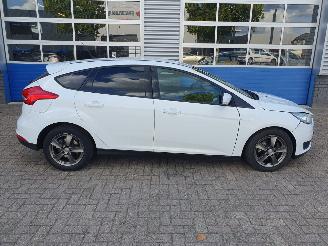 Ford Focus 1.0 Trend Edition picture 6