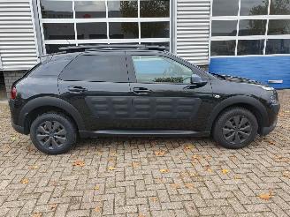 Citroën C4 cactus 1.6 BlueHDi Business picture 6