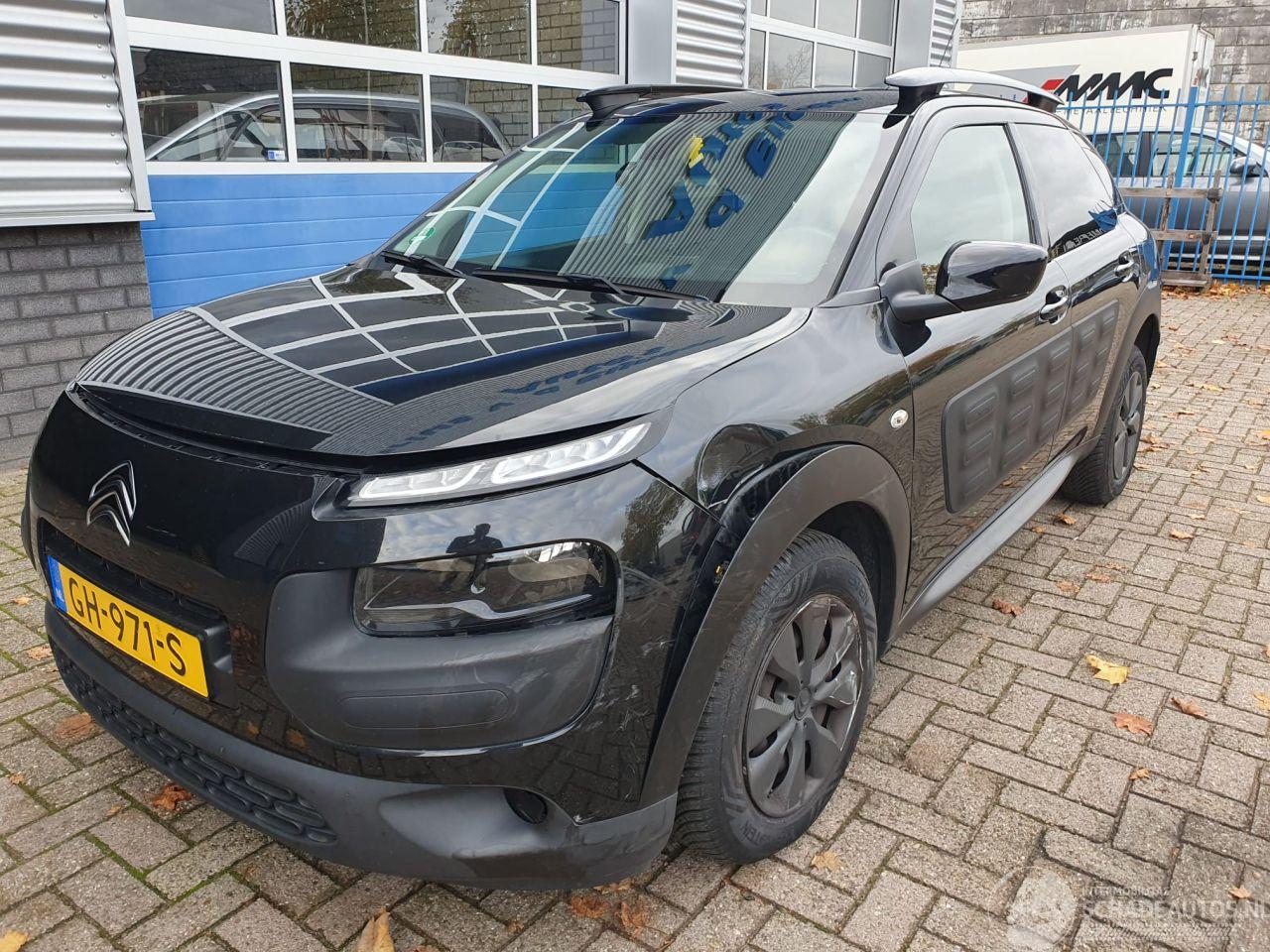 Citroën C4 cactus 1.6 BlueHDi Business