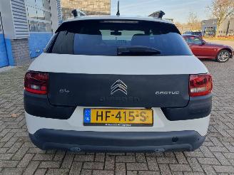 Citroën C4 cactus 1.6 BlueHDi Shine SCHADEVRIJ picture 5