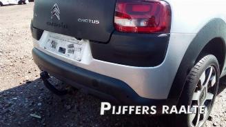Citroën C4 cactus C4 Cactus (0B/0P), Hatchback 5-drs, 2014 1.2 PureTech 82 12V picture 16