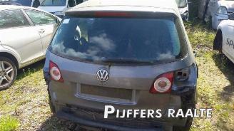Volkswagen Golf plus Golf Plus (5M1/1KP), MPV, 2005 / 2013 1.9 TDI 16V picture 22