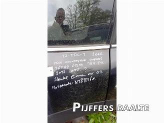 Mini Countryman Countryman (R60), SUV, 2010 / 2016 1.6 16V Cooper S picture 18