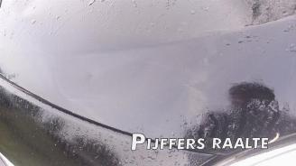 Renault Mégane Megane III Berline (BZ), Hatchback 5-drs, 2008 / 2017 1.5 dCi 110 picture 27