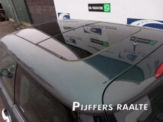 Mini Mini  picture 9