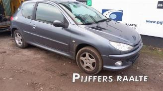 Peugeot 206 206 (2A/C/H/J/S), Hatchback, 1998 / 2012 1.4 XR,XS,XT,Gentry picture 2