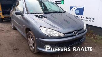 Peugeot 206 206 (2A/C/H/J/S), Hatchback, 1998 / 2012 1.4 XR,XS,XT,Gentry picture 3