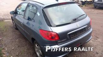 Peugeot 206 206 (2A/C/H/J/S), Hatchback, 1998 / 2012 1.4 XR,XS,XT,Gentry picture 7
