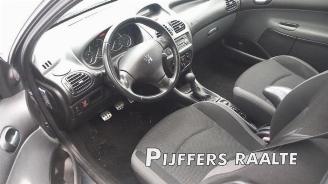 Peugeot 206 206 (2A/C/H/J/S), Hatchback, 1998 / 2012 1.4 XR,XS,XT,Gentry picture 8