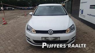 Volkswagen Golf Golf VII (AUA), Hatchback, 2012 / 2021 1.2 TSI 16V picture 2