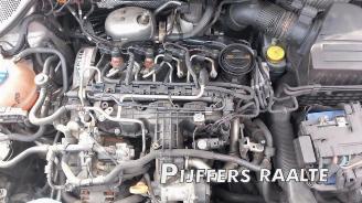 Volkswagen Polo Polo V (6R), Hatchback, 2009 / 2017 1.6 TDI 16V 90 picture 26