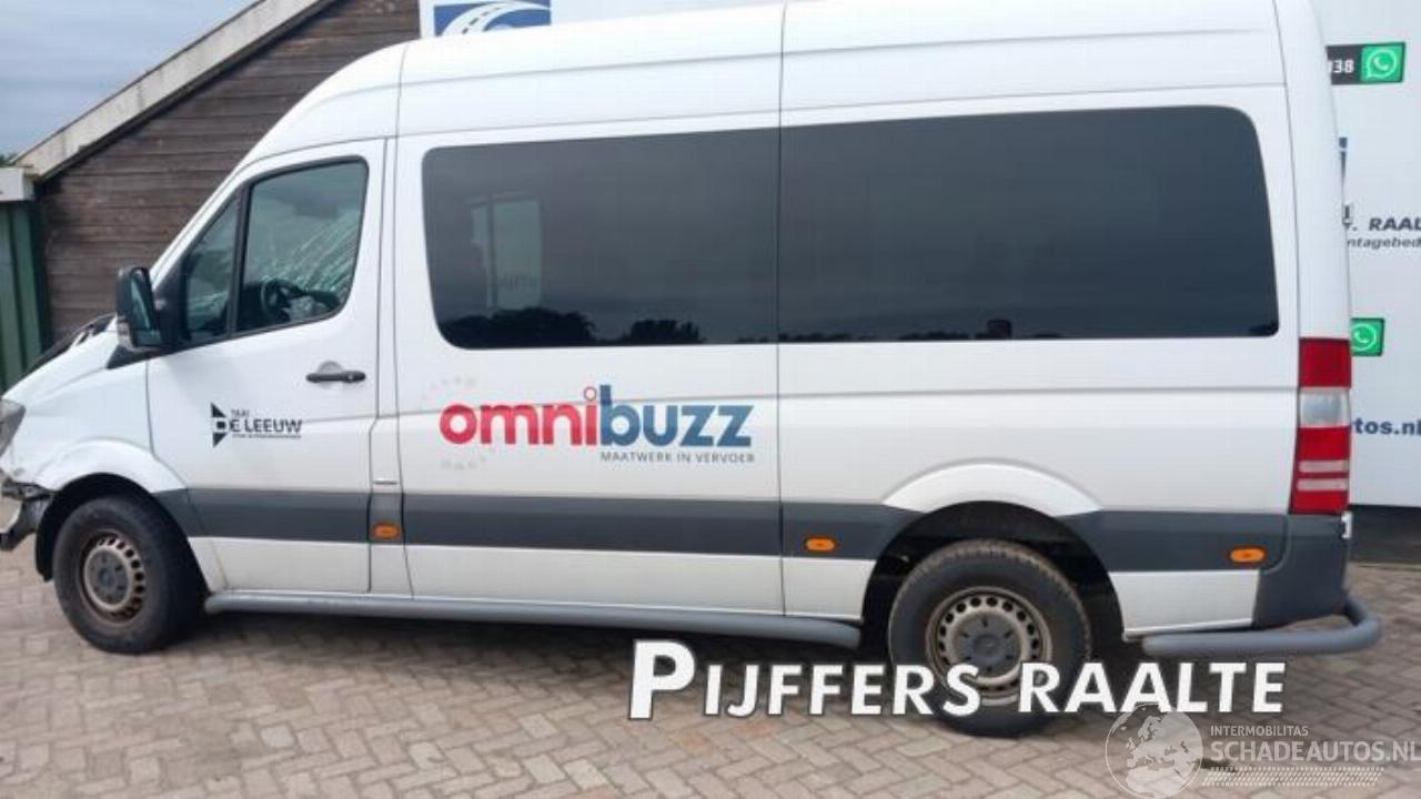 Mercedes Sprinter Sprinter 3,5t (906.73), Bus, 2006 / 2020 314 CDI 16V