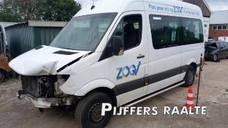Sloopauto Mercedes Sprinter Sprinter 3,5t (906.73), Bus, 2006 / 2020 316 NGT 2016/8