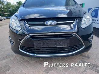 Ford Grand C-Max Grand C-Max (DXA), MPV, 2010 / 2019 1.0 Ti-VCT EcoBoost 12V 125 picture 9