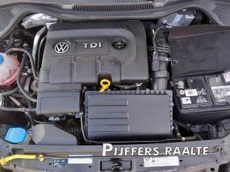 Volkswagen Polo Polo V (6R), Hatchback, 2009 / 2017 1.4 TDI DPF BlueMotion technology picture 20