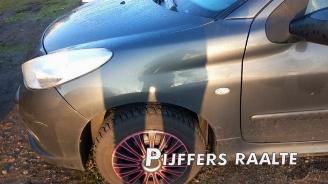 Peugeot 206 206+ (2L/M), Hatchback, 2009 / 2013 1.4 XS picture 9