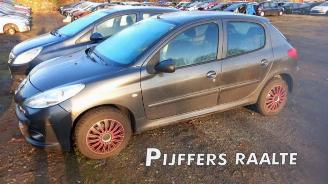  Peugeot 206 206+ (2L/M), Hatchback, 2009 / 2013 1.4 XS 2011/1