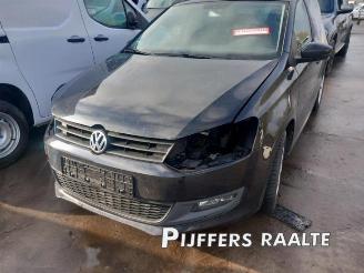 Volkswagen Polo Polo V (6R), Hatchback, 2009 / 2017 1.6 TDI 16V 105 picture 2